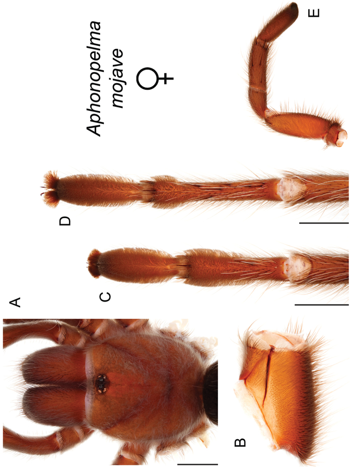 Figure 102.