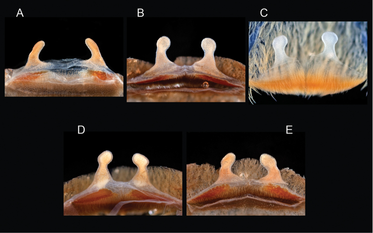 Figure 127.