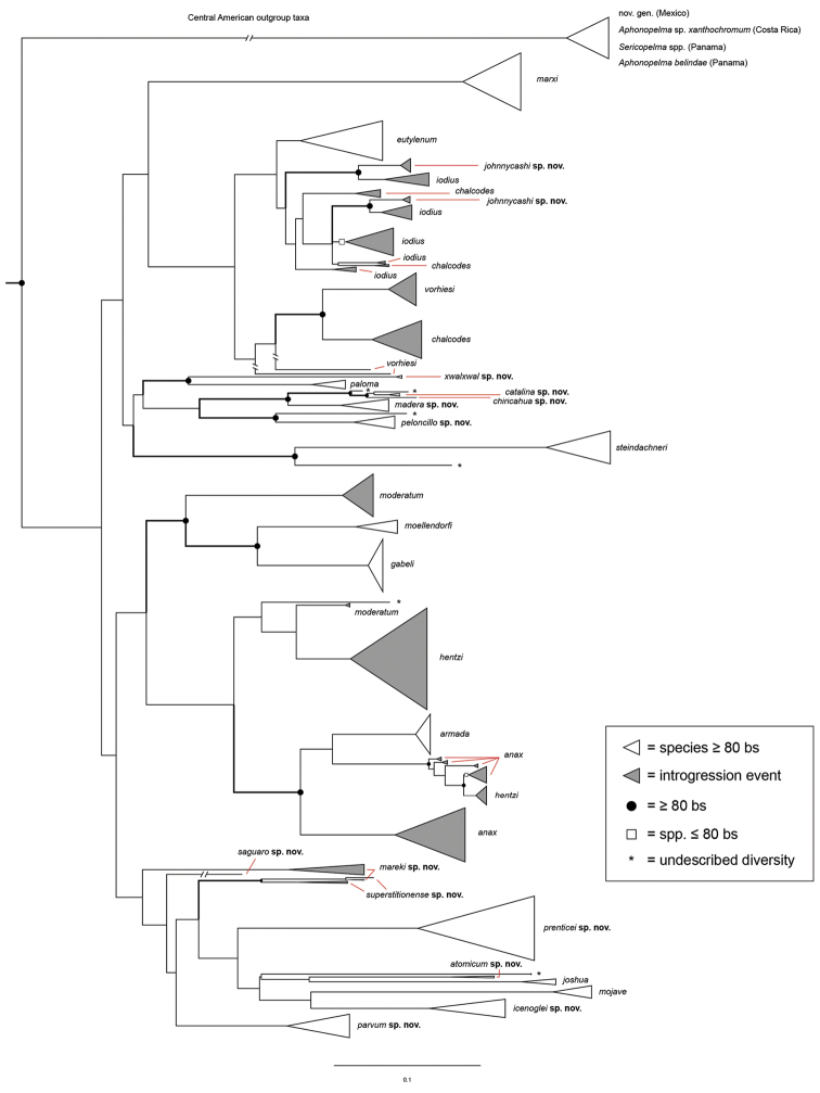 Figure 7.