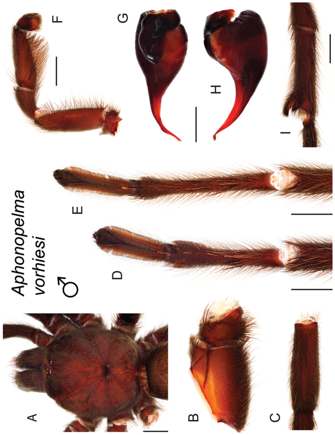 Figure 143.