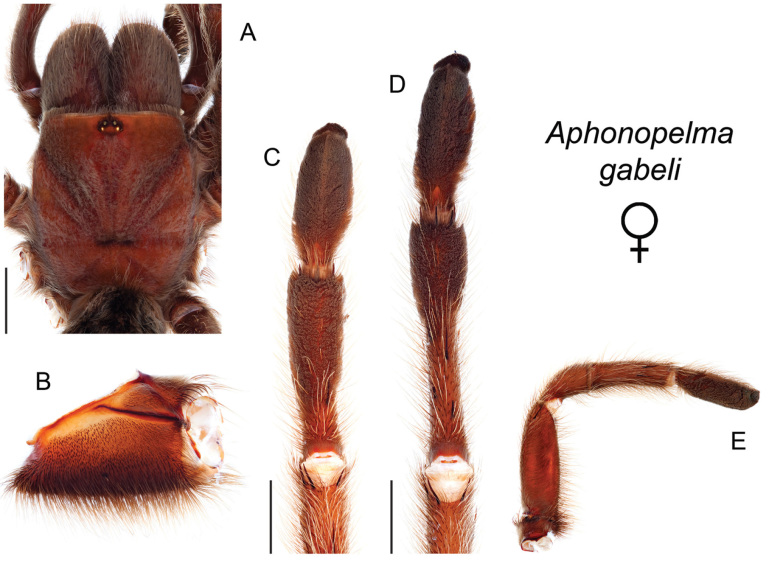 Figure 47.