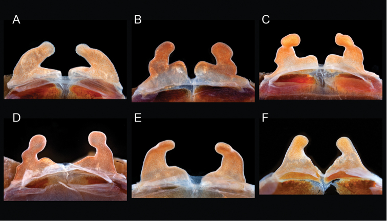 Figure 54.