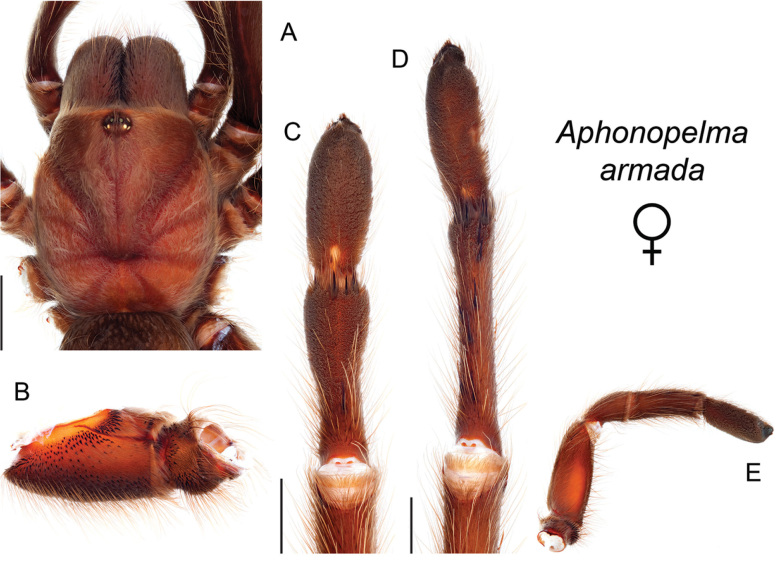 Figure 17.