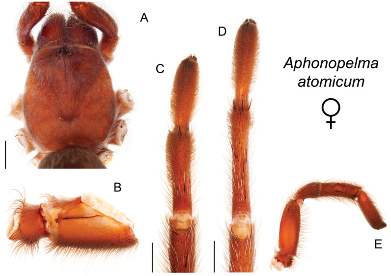 Figure 22.