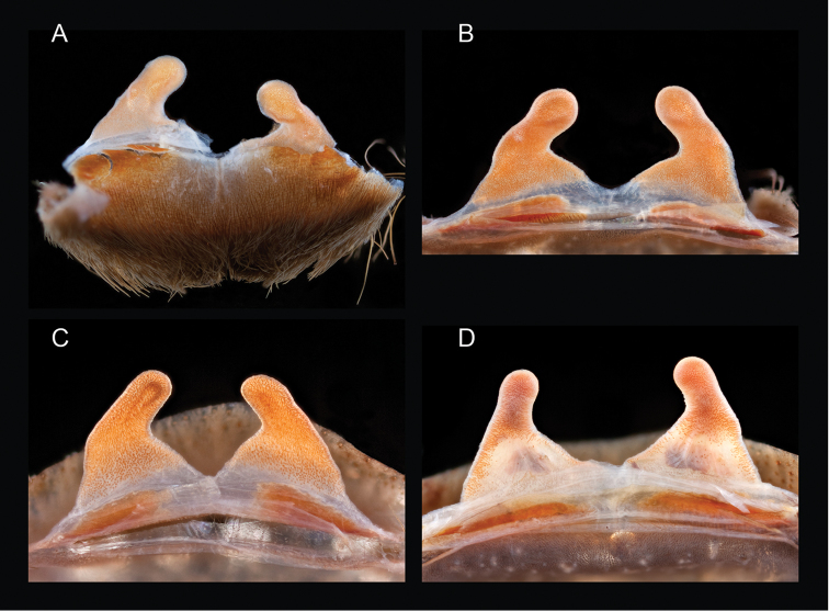 Figure 34.