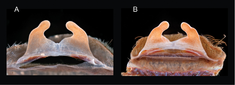 Figure 28.