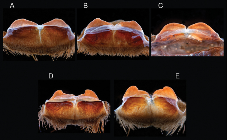 Figure 13.