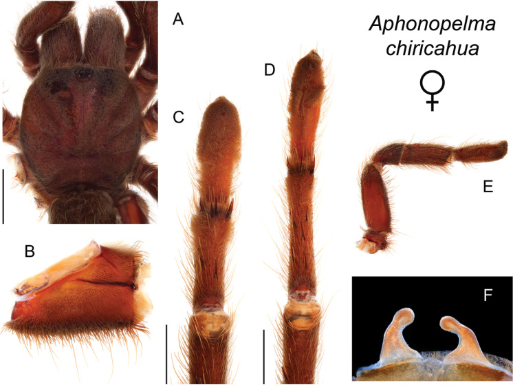 Figure 38.