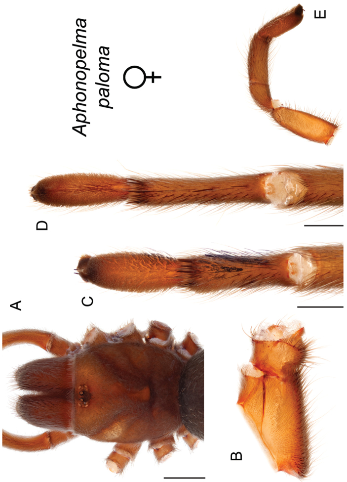 Figure 108.