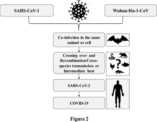 FIGURE 2