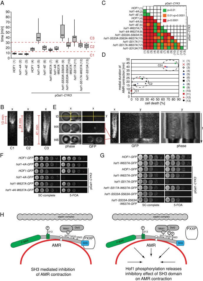 FIGURE 6: