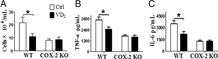 FIGURE 13.