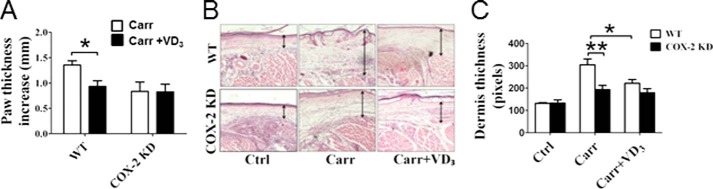 FIGURE 15.