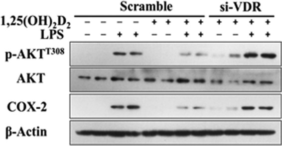 FIGURE 12.