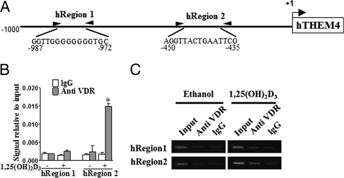 FIGURE 11.