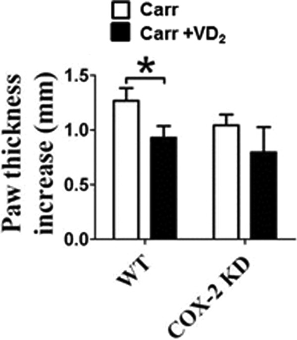 FIGURE 16.