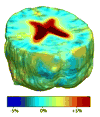 Fig. 27