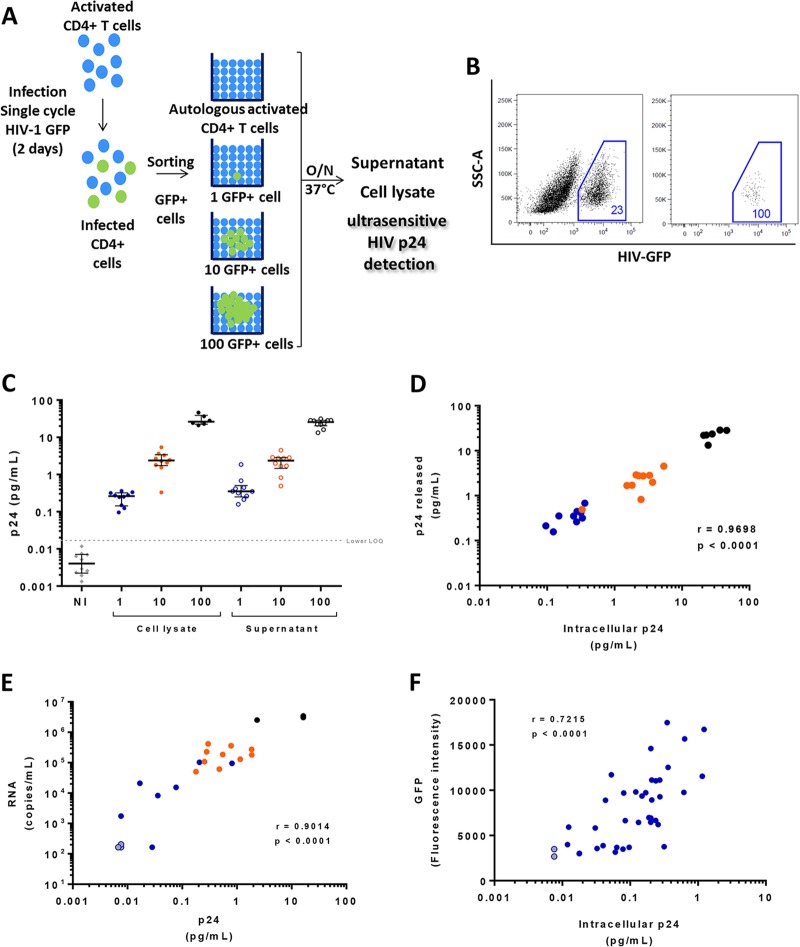 FIG 3