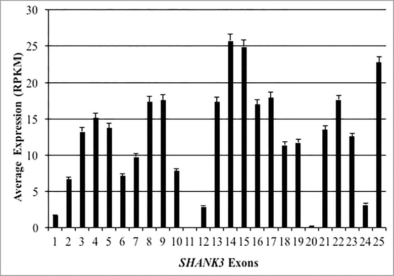 Fig 5