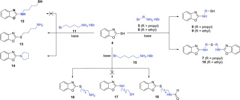 Scheme 3