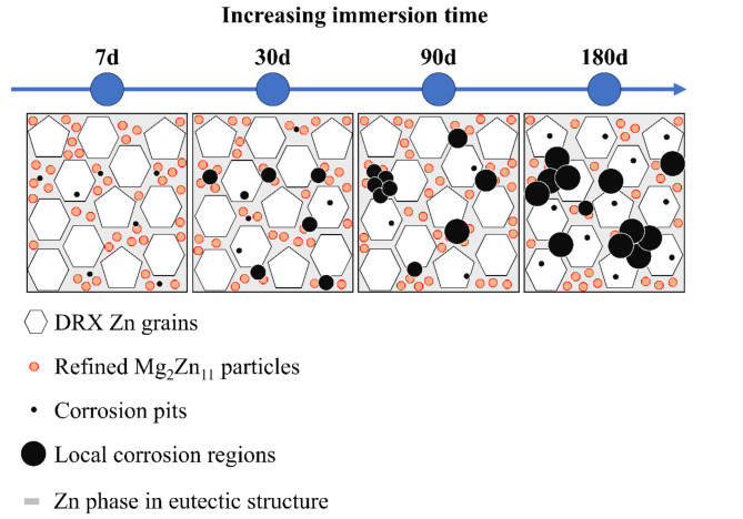 Fig. 11