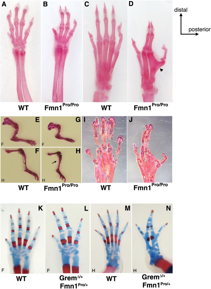 Figure 2.