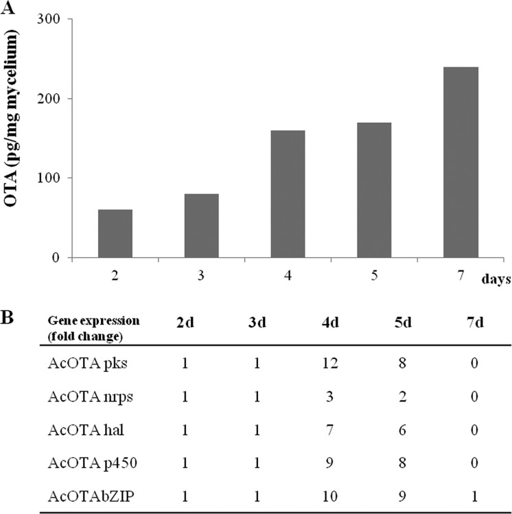 FIG 2