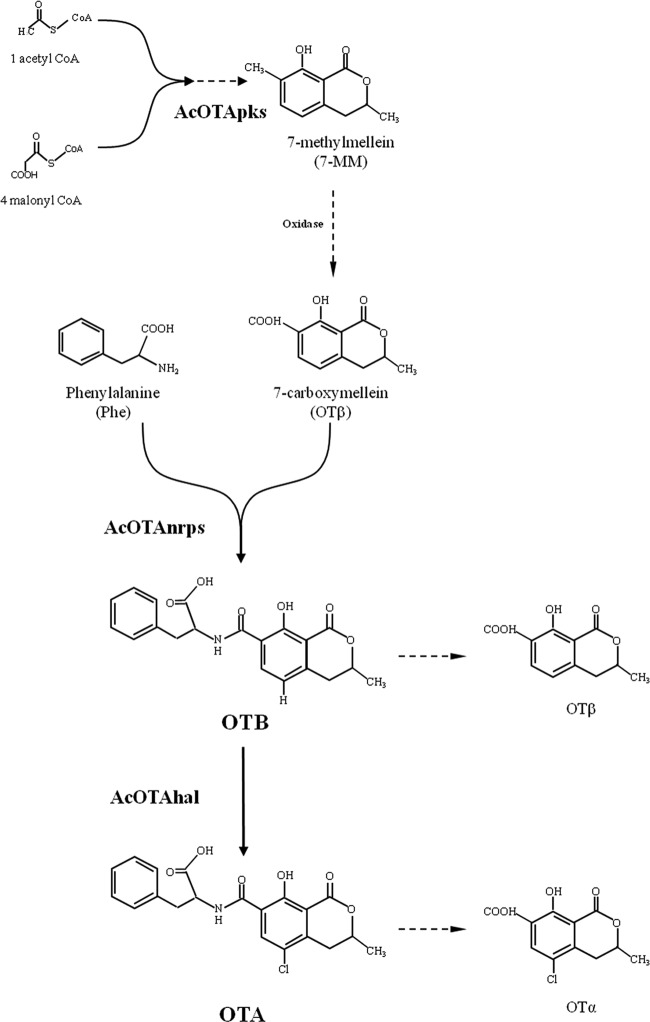 FIG 5