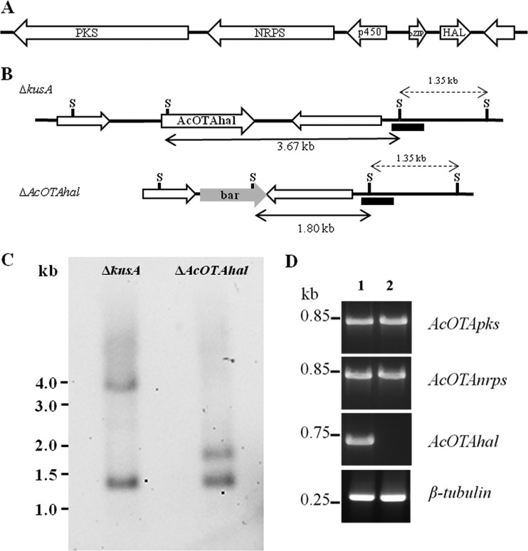 FIG 1