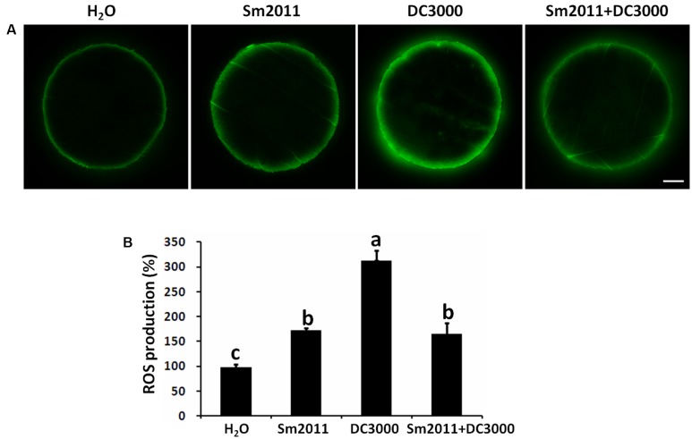 FIGURE 2