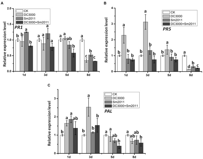 FIGURE 6