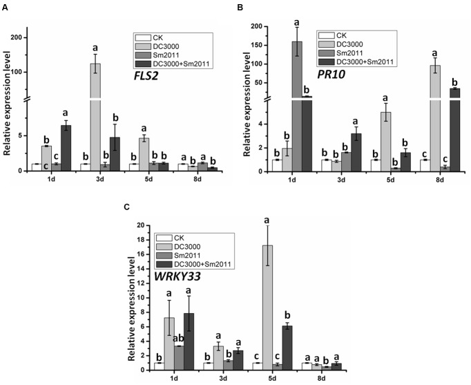 FIGURE 5