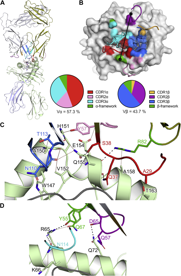 Figure 3