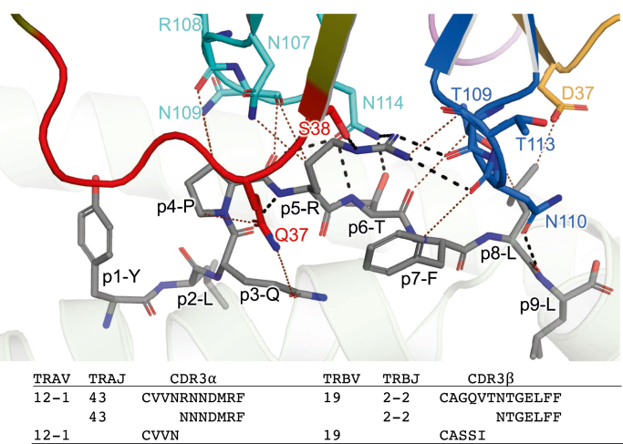 Figure 4