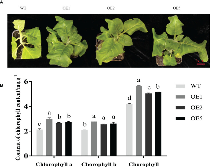 Figure 3