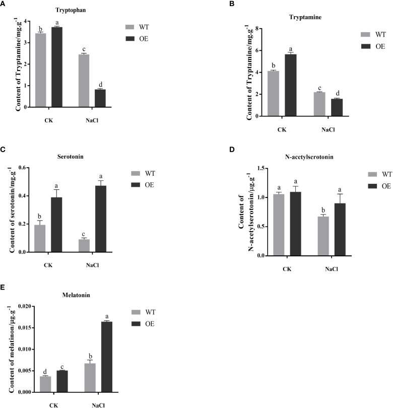 Figure 4