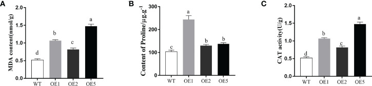 Figure 5