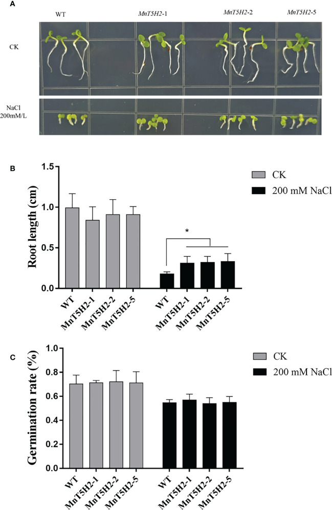 Figure 7