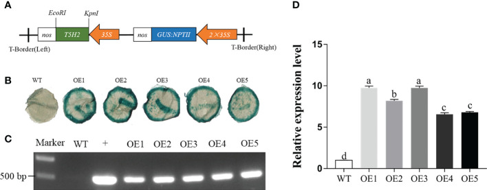 Figure 1