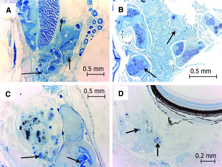 FIG. 4.