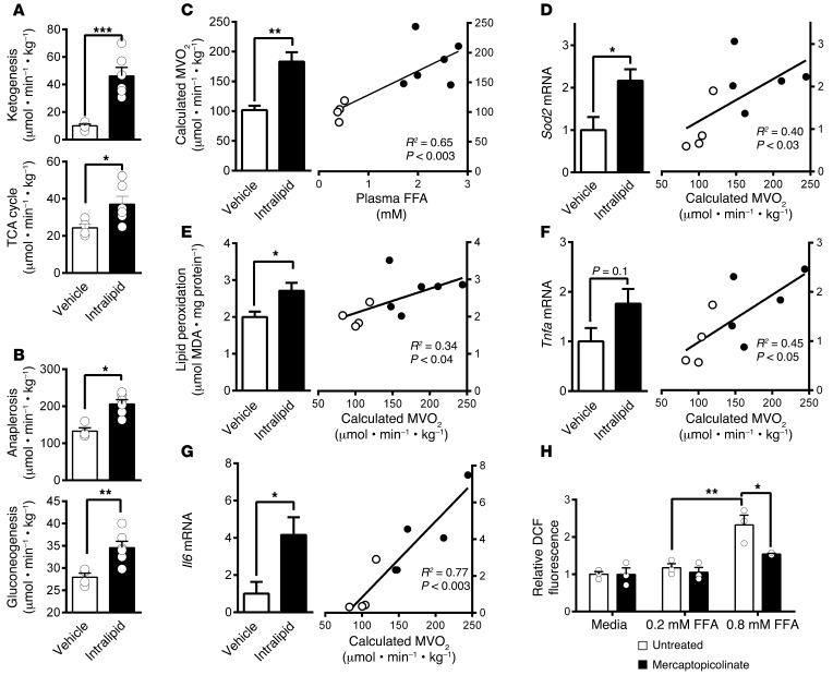 Mitochondrial metabolism mediates oxidative stress and inflammation in ...