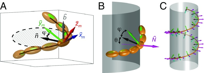 Fig. 2.