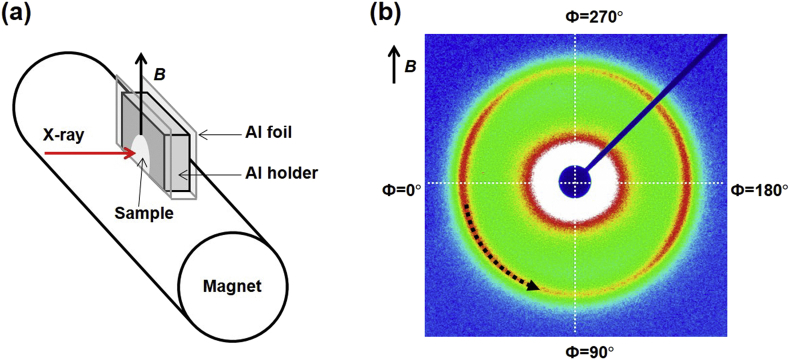 Fig. 2