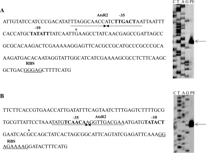 FIG 6