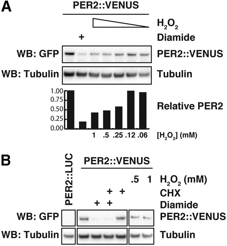 FIG. 8.