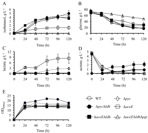 Fig. 4