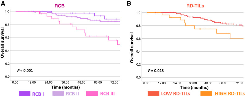 Figure 3. Kaplan–Meier curves for OS. Kaplan–Meier curves for OS according to RCB class (I–III; A) and RD-TILs (B). RCB, residual cancer burden; RD-TILs, tumor-infiltrating lymphocytes on residual disease.