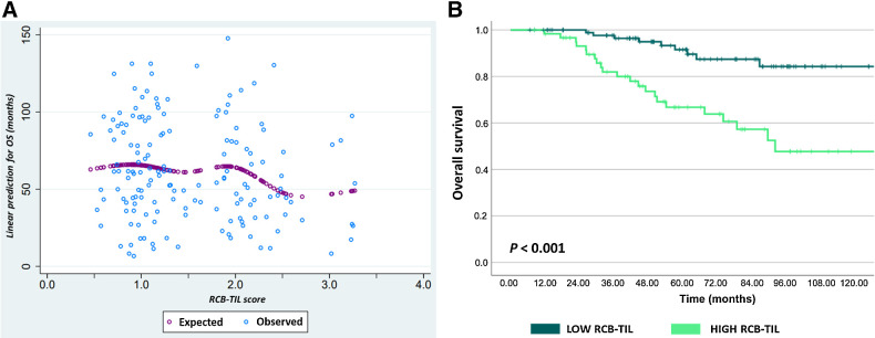 Figure 4. Association between RCB+TIL and OS. A, Predicted correlation between composite RCB+TIL score and OS (months). B, Kaplan–Meier curves for OS according to dichotomic RCB+TIL.