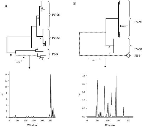 FIG. 2.