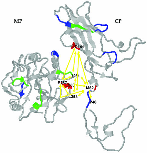 FIG. 3.